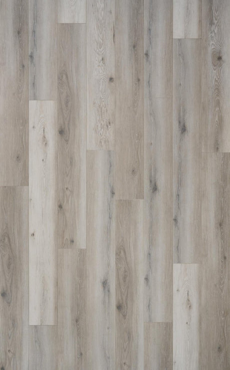 Casabella AquaProof Sterling 7.7" 10mm Laminate Flooring - Laminate Flooring available at Alpine Outlets in Denver