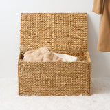 Ludmila - Rectangular Storage Trunk