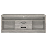 Bergeron - 2 Drawer TV Stand - Driftwood