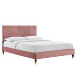 Channel Tufted Performance Velvet Platform Bed with Gold Detailed Legs - Platform Bed available at Alpine Outlets in Denver