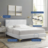 Channel Tufted Performance Velvet Platform Bed with Gold Metal Legs - Platform Bed available at Alpine Outlets in Denver