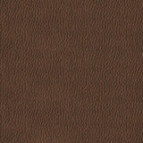 Dining Chair For Kitchen (Set of 2) - Brown