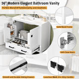 Bathroom Vanity With Sink, Soft Close Doors, Double Storage Shelves & Divided Drawer Ample Storage - White