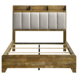 Packard - Bookcase Bed