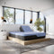 Sleep & Bedding