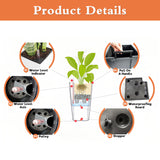 Indoor Outdoor Planter With Automatic Watering System