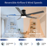 Flush Mount Ceiling Fan With Light