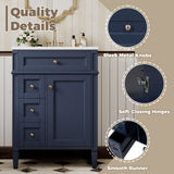 Bathroom Vanity With Top Sink, Storage Cabinet With 2 Drawers And Tip-Out Drawer
