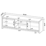 Conifer - TV Stand With Adjustable Shelves - Gray