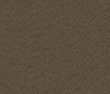 Define Broadloom Denote - Carpet available at Alpine Outlets in Denver