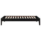 Queen Platform Bed With Tapered Legs - Brown