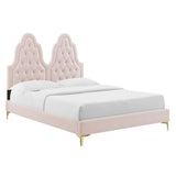 Diamond Tufted Performance Velvet Twin Platform Bed with Gold Metal Legs - Platform Bed available at Alpine Outlets in Denver