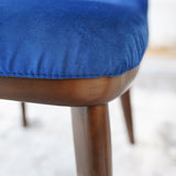 Clove - Mid-Century Dining Chair (Set of 2)