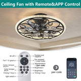 Caged Ceiling Fan With Remote Controlled LED Light - Matte Black