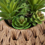 Artificial Succulent, Table Decor (Set of 2) - Green