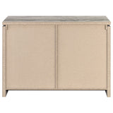 2 Door Accent Cabinet With Accents - Gray