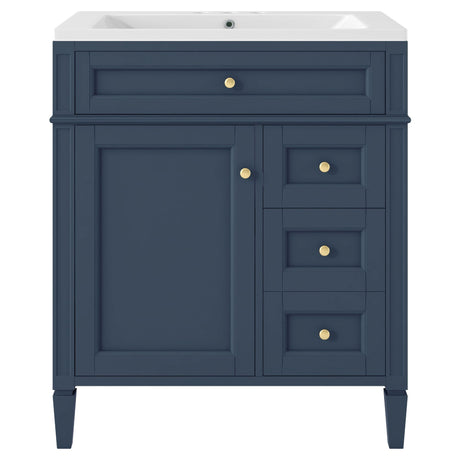 Bathroom Vanity With Top Sink, 2 Drawers And Tip Out Drawer, Rectangular Design