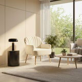 Accent Chair For Living Room