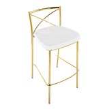 Modern Charlotte - Contemporary Fixed Height Barstool (Set of 2)