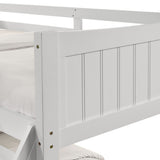 Sami - Bunk