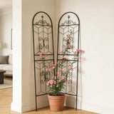 Garden Trellis, Rustproof Support For Climbing Plants