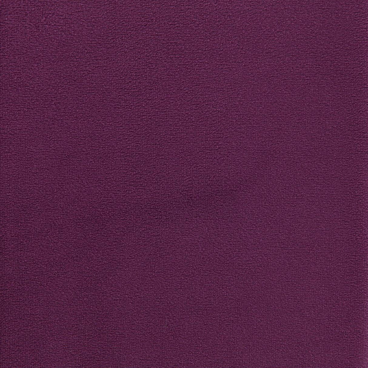 Rae Lavish Purple Velvet Accent Chair