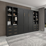 Multifunctional Vertical Murphy Wall Bed