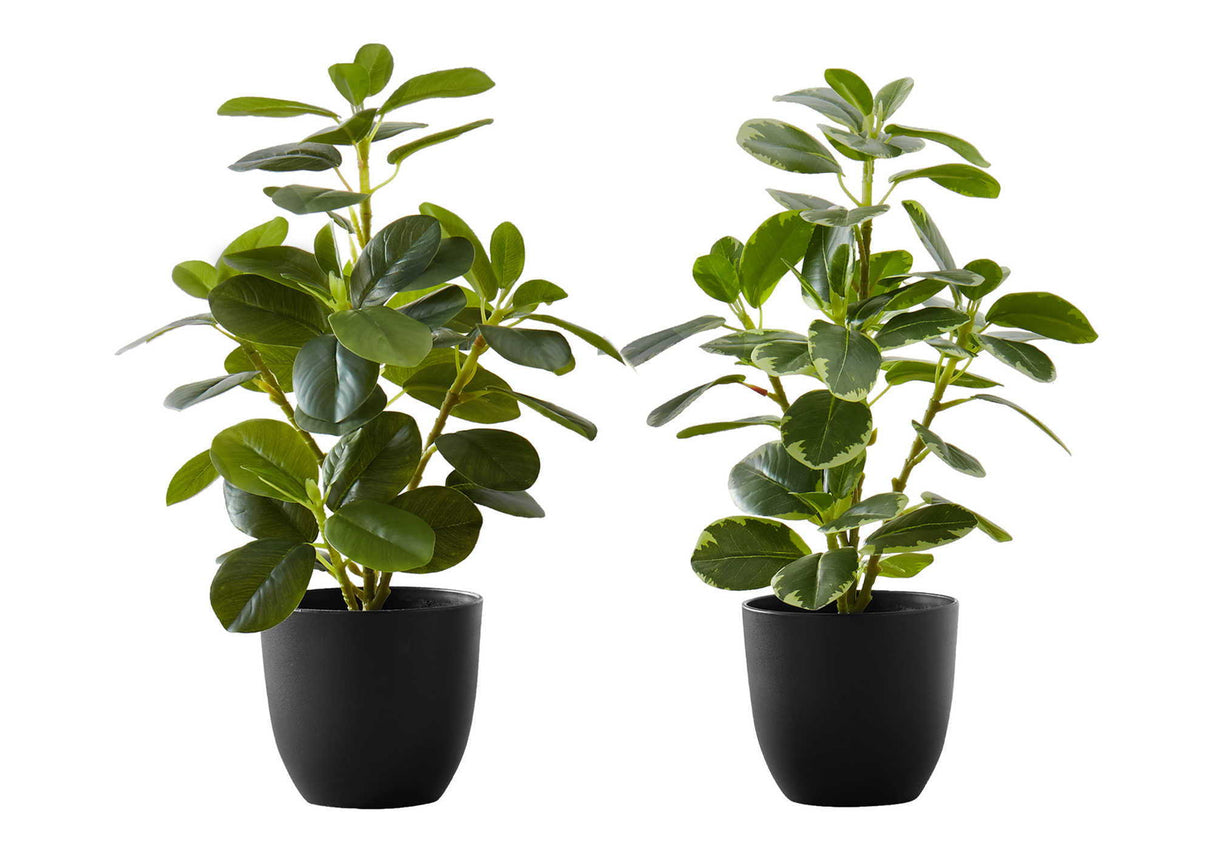 14" Tall, Artificial Plant, Ficus, Indoor, Faux, Fake, Table, Greenery, Potted, Decorative (Set of 2) - Green / Black - Plants - Alpine Outlets