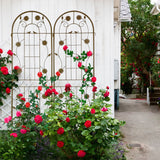 Metal Garden Trellis Rustproof Trellis For Climbing Plant Outdoor Flower Support