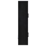 Shayne - 4 Door Display Cabinet With LED Lighting - Black