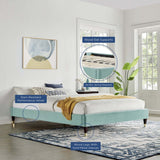 Glam Deco Performance Velvet Platform Bed Frame with Gold Detailed Wood Legs - Platform Bed available at Alpine Outlets in Denver