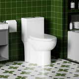 Gloss Tornado Flush 1 Piece Toilet With Soft Closing Seat, Water Saving Dual Flush - Gloss White - Toilets available at Alpine Outlets in Denver