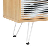 Industrial Modern TV Stand with Sliding Mesh Doors 47 Inch - TV Stands available at Alpine Outlets in Denver