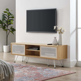 Industrial Modern TV Stand with Sliding Mesh Doors 59 Inch - TV Stands available at Alpine Outlets in Denver