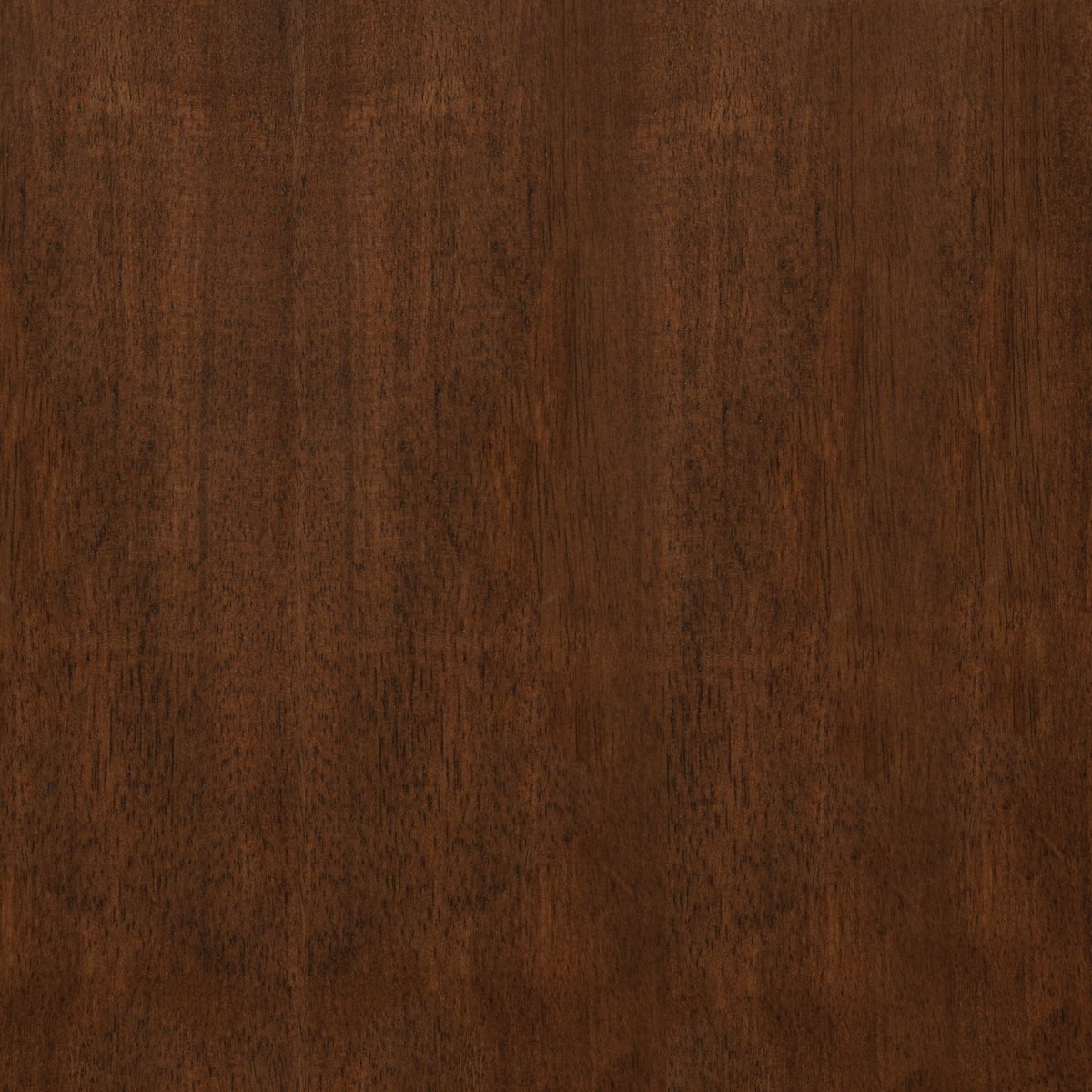 Jeffries Windsor Walnut Dining Side Chairs, Set of 2 - Dining Chairs & Benches available at Alpine Outlets in Denver