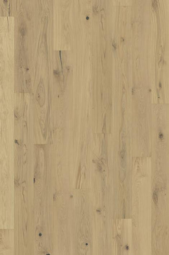 beyond retro collection collection