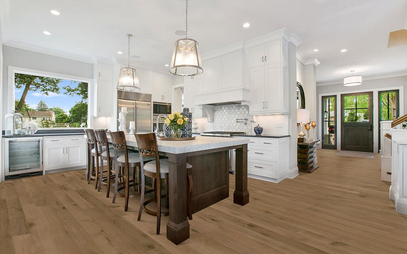 canvas collection collection