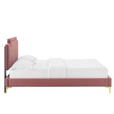 Performance Velvet King Platform Bed with French Piping and Gold Legs - Platform Bed available at Alpine Outlets in Denver