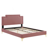 Performance Velvet King Platform Bed with French Piping and Gold Legs - Platform Bed available at Alpine Outlets in Denver