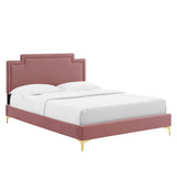 Performance Velvet King Platform Bed with French Piping and Gold Legs - Platform Bed available at Alpine Outlets in Denver