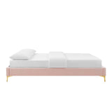 Performance Velvet Platform Bed Frame with Gold Metal Legs - Platform Bed available at Alpine Outlets in Denver