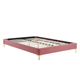 Performance Velvet Platform Bed Frame with Gold Metal Legs - Platform Bed available at Alpine Outlets in Denver