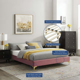 Performance Velvet Platform Bed Frame with Gold Metal Legs - Platform Bed available at Alpine Outlets in Denver