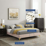 Performance Velvet Platform Bed Frame with Gold Metal Legs - Platform Bed available at Alpine Outlets in Denver