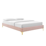Performance Velvet Platform Bed Frame with Gold Metal Legs - Platform Bed available at Alpine Outlets in Denver