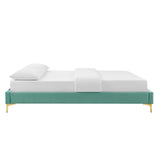 Performance Velvet Platform Bed Frame with Gold Metal Legs - Platform Bed available at Alpine Outlets in Denver