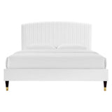 Queen Channel Tufted Performance Velvet Platform Bed - Platform Bed available at Alpine Outlets in Denver