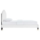 Scalloped Channel Tufted Performance Velvet Queen Platform Bed - Platform Bed available at Alpine Outlets in Denver