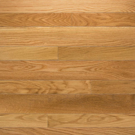 Somerset High Gloss Natural White Oak 2 1/4" Solid Hardwood Flooring - Hardwood Flooring available at Alpine Outlets in Denver