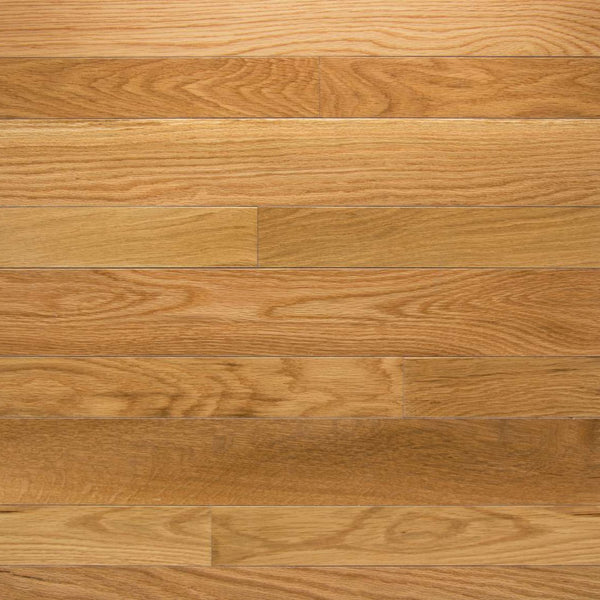 Somerset High Gloss Natural White Oak 3 1/4" Solid Hardwood Flooring - Hardwood Flooring available at Alpine Outlets in Denver